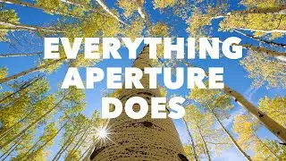 Every Single Effect of Aperture in Photography, Explained
