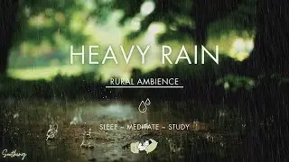 Heavy Rain on Brick Pathway | NO ADS | Soothing Rain Sounds For Sleeping