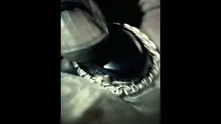 Некрофилы не знали что эта могила страшной ведьмы😱 