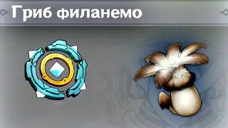 150 Грибов филанемо/Параметрический преобразователь