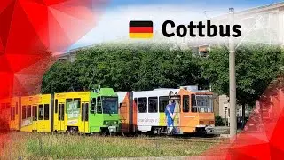 Trams in Cottbus, Germany: Colorful low-floor Tatra trams | 2024