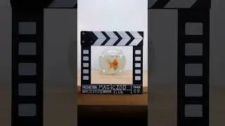 Что случится если выпустить золотую рыбку в озеро?!