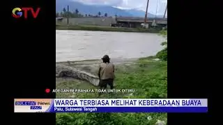 Viral! Seorang Pria di Palu Nyaris Diterkam Buaya 