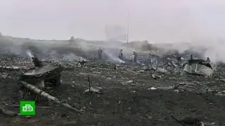 Стали известны результаты экспертизы тел экипажа MH17