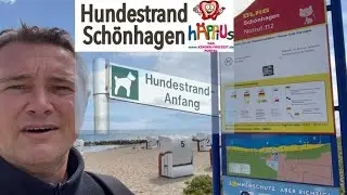 Dog beach Schönhagen - Baltic Sea vacation