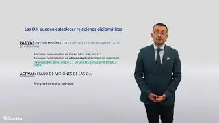 Las Organizaciones Internacionales - Derecho Internacional