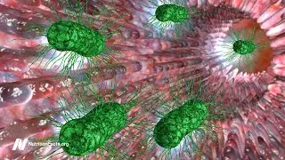 Are Small Intestinal Bacterial Overgrowth SIBO Tests Valid?