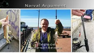 нарвал аргумент \ Narval Argument