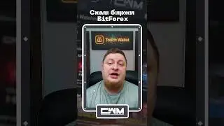 Скам биржи BitForex.