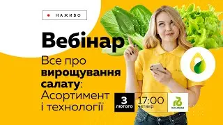 ВСЕ ПРО ВИРОЩУВАННЯ САЛАТУ: АСОРТИМЕНТ І ТЕХНОЛОГІЇ