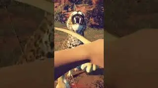 Kitty nearly got me 