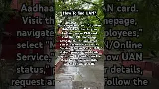 How to find UAN ID for PF online? 