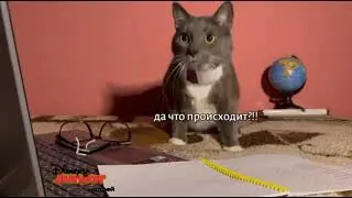 Фрагмент блока Junior Андрей с плашкой + Реклама (Disney Andrey, 19.05.2023, 