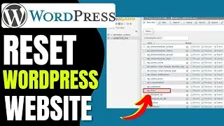 How to Reset WordPress Website (2024)