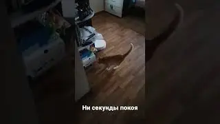 Степан следит за качеством уборки.