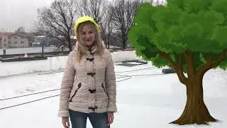 Как сделать эксплуатируемую кровлю