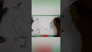 How to draw a Peacock || Arts and Crafts 