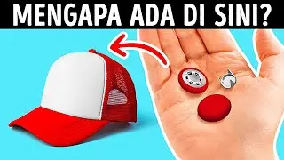 Fakta-fakta Keren untuk Pikiran yang Ingin Tahu