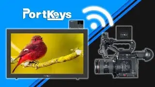 Wireless Camera Monitor - PortKeys MT20 Portable Director's Monitor Review