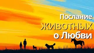 Послание от любимых животных | Используйте их дары