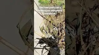Мощный магнит // Чистим участок от металла, гвоздей и шурупов
