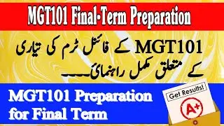 MGT101 Final Term Preparation 2025 - How to prepare MGT101 for Final Term in short time - #mgt101
