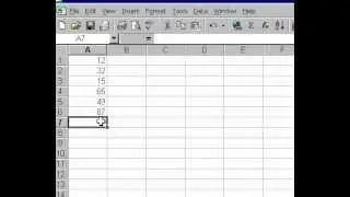 Microsoft Office Excel 2000 Auto Calculate