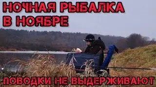 НОЧНАЯ РЫБАЛКА в НОЯБРЕ на РЕКЕ ПОВОДКИ не ВЫДЕРЖИВАЮТ