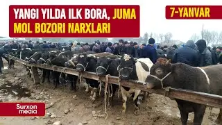 Yangi yilda ilk bora, Juma mol bozori narxlari • 7-yanvar, Surxondaryo, Uzun Juma mol bozori