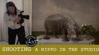 Artist Life: Crafting a Hippo Masterpiece & Unveiling My Photographer's Journey