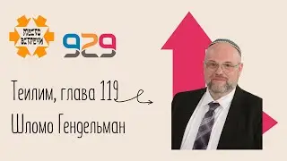 Книга #Теилим гл. 119. Лектор: Шломо Гендельман