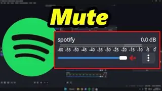 How To Stop OBS From Recording Spotify