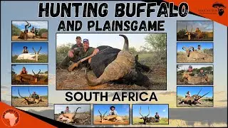 Hunting 12 species including buffalo - With Sup Africa Safaris