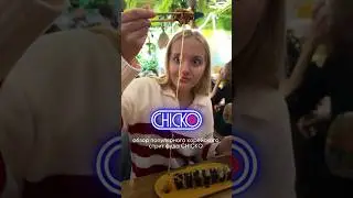 ОБЗОР CHICKO 