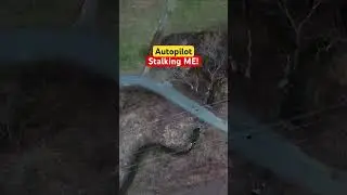 DJI Mini SE Autopilot Followed my entire walk by itself!