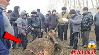 Bugun Daxshat Boldi Shaxrixon Xoldanbek CHOJA Mol Bozori 😱