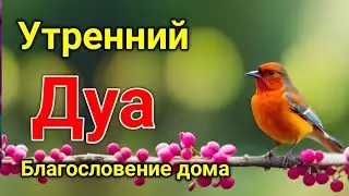 утренний дуа. дуа каждое утро