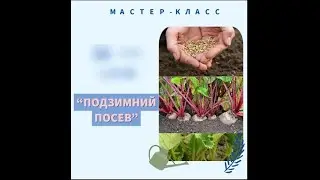 Подзимний посев и посадка.  Мастер класс.  Фрагмент. Кольцова Ирина