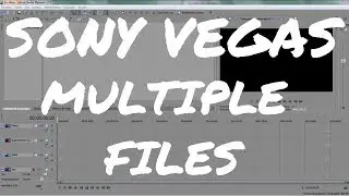 Sony Vegas Pro | Using Multiple Media Files