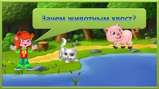 Клуб Почемучек. Зачем животным хвост?