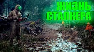 Жизнь сталкера! ► CHERNOBYLITE Начало Stalker серия 1