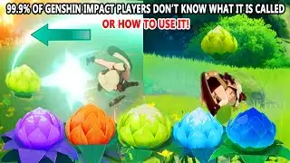 99.9% of Genshin Impact Players Don’t Know What it is Called or How to Use it!