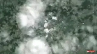 Об этом должен узнать каждый! Не покупайте эти продукты, они из ПАЛЬМОВОГО МАСЛА !