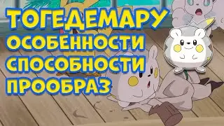 ТОГЕДЕМАРУ - ОСОБЕННОСТИ, СПОСОБНОСТИ, ПРООБРАЗ