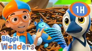 🐥Blippi Builds A Birds Nest🐥 | Blippi Wonders | Educational Kids Videos | Moonbug Kids