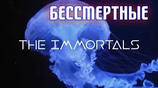 Бессмертные / The immortals (2020)