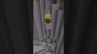 Minecraft What??!! #shorts #minecraft #choose