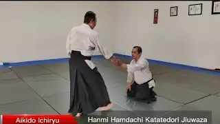 Hanmi Hamdachi Katatedori Jiuwaza