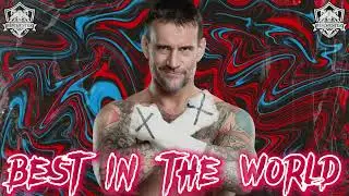 WWE: CM Punk Theme Song • 
