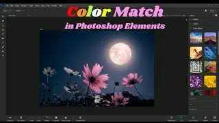Color Match in Photoshop Elements